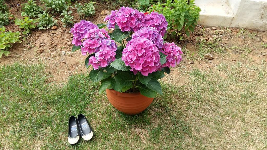 Yujeong Hanok Guesthouse Mokpo Bagian luar foto