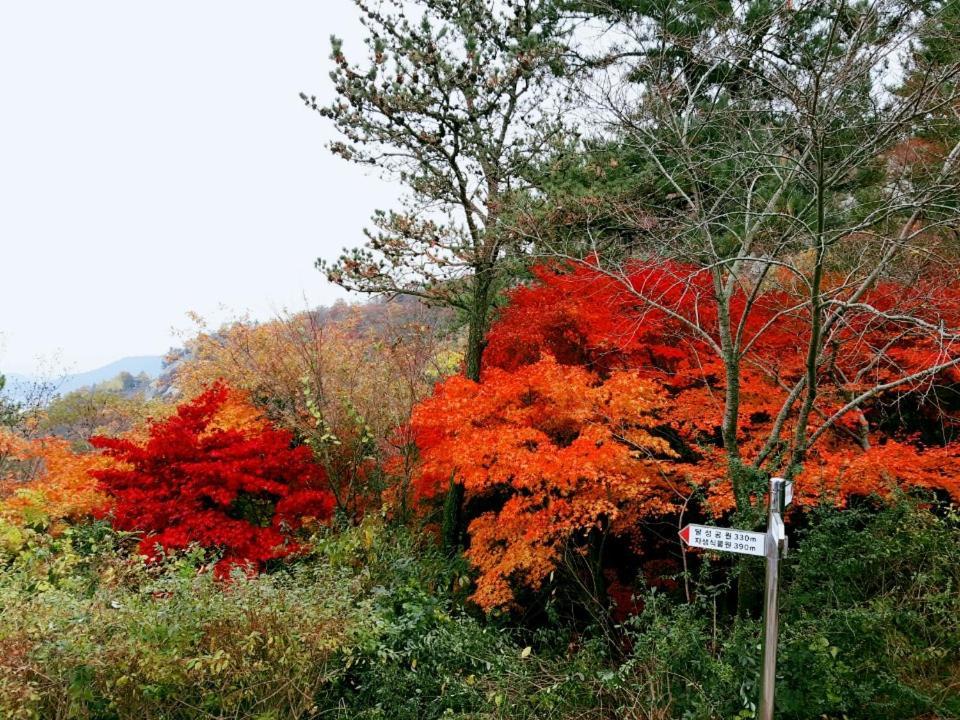 Yujeong Hanok Guesthouse Mokpo Bagian luar foto